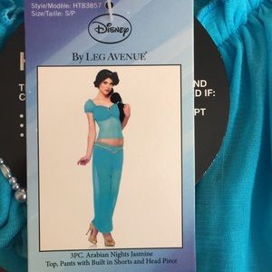 Disney Jasmine Costume (Aladdin)
